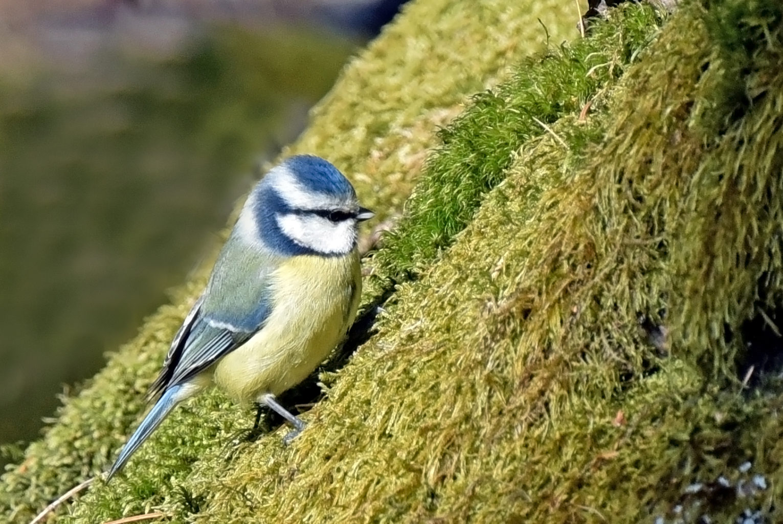 Valokuvaaja: Esko Pihl