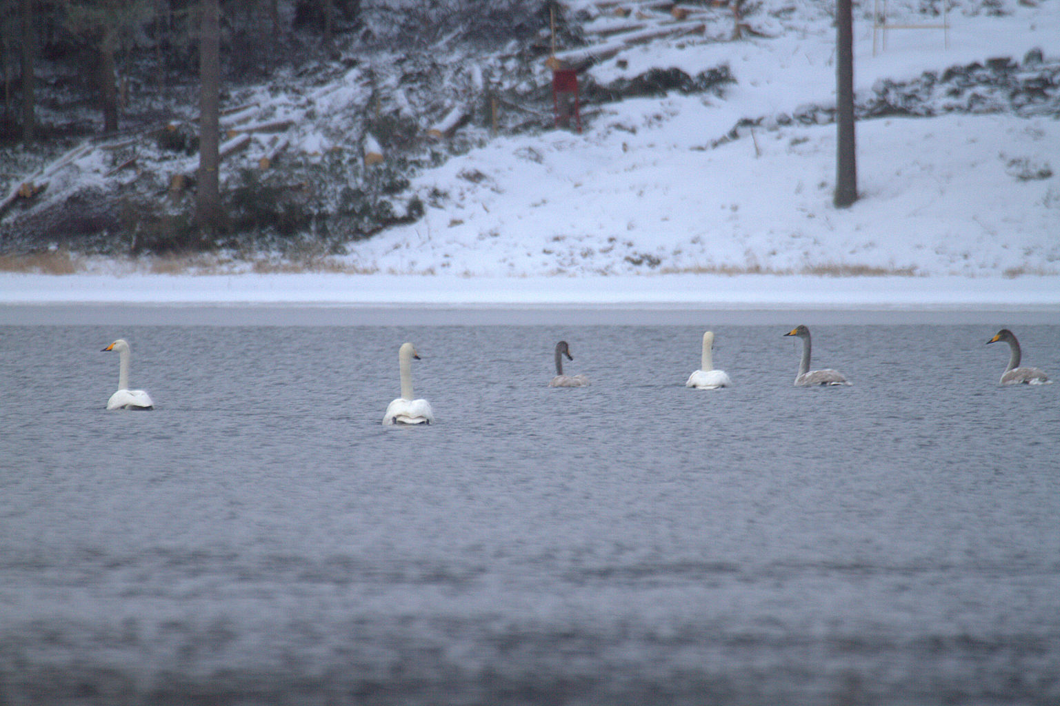 Valokuvaaja: Sirpa Jyske