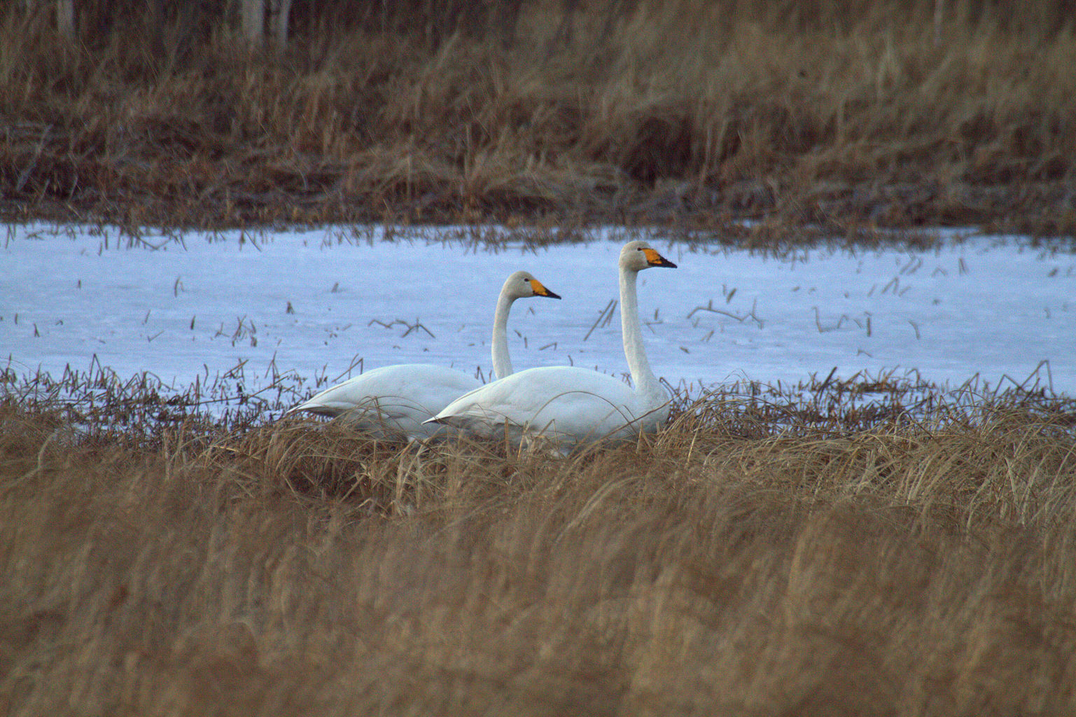 Valokuvaaja: Sirpa Jyske Valokuvaaja: Sirpa Jyske