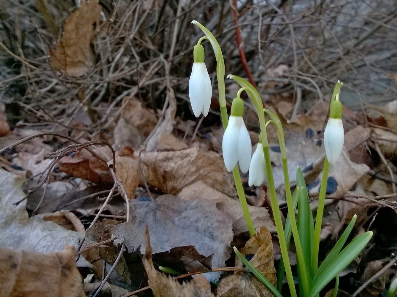 Valokuvaaja: PIRJO RÄISÄNEN