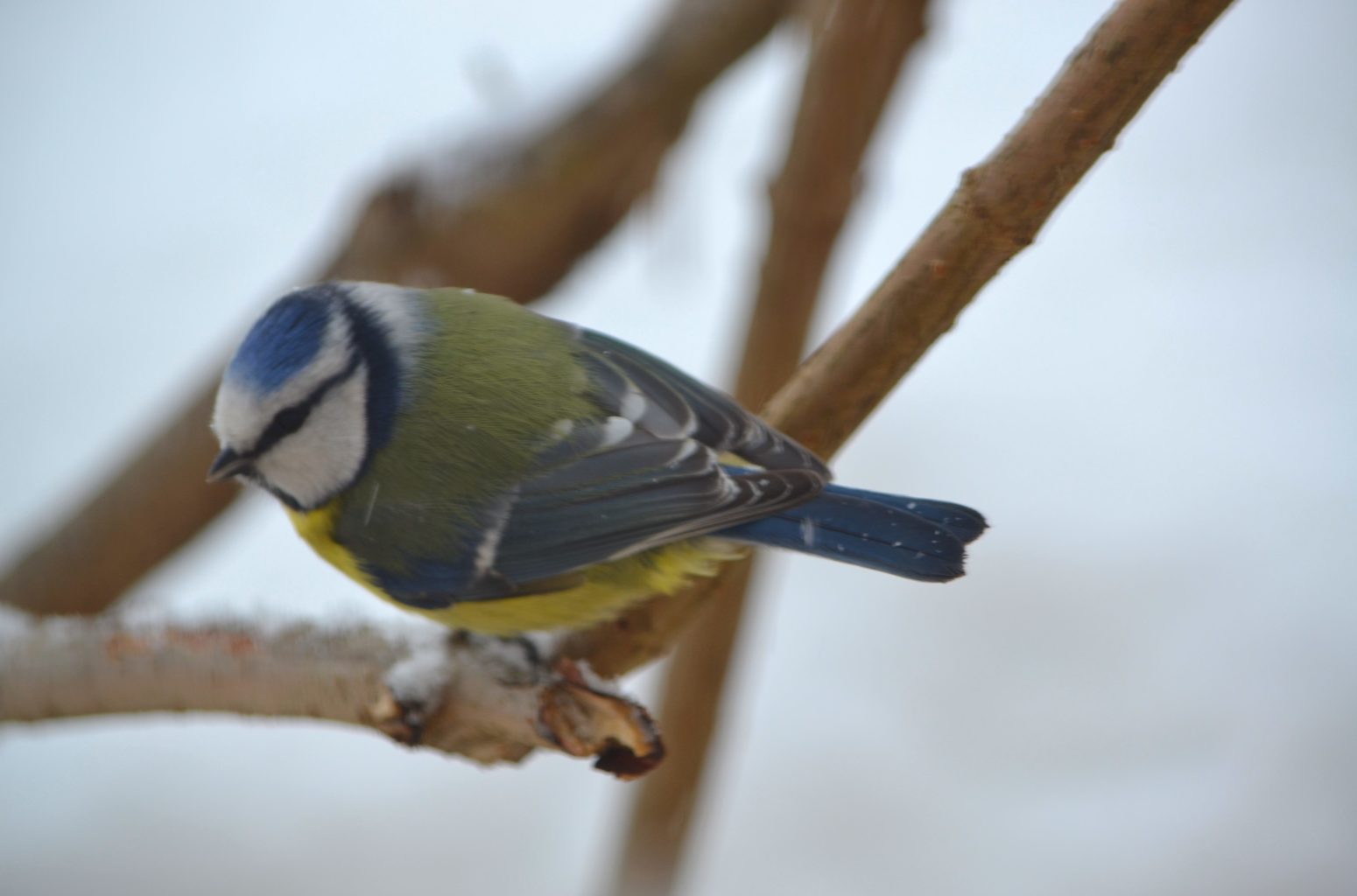 Valokuvaaja: Leena Rissanen