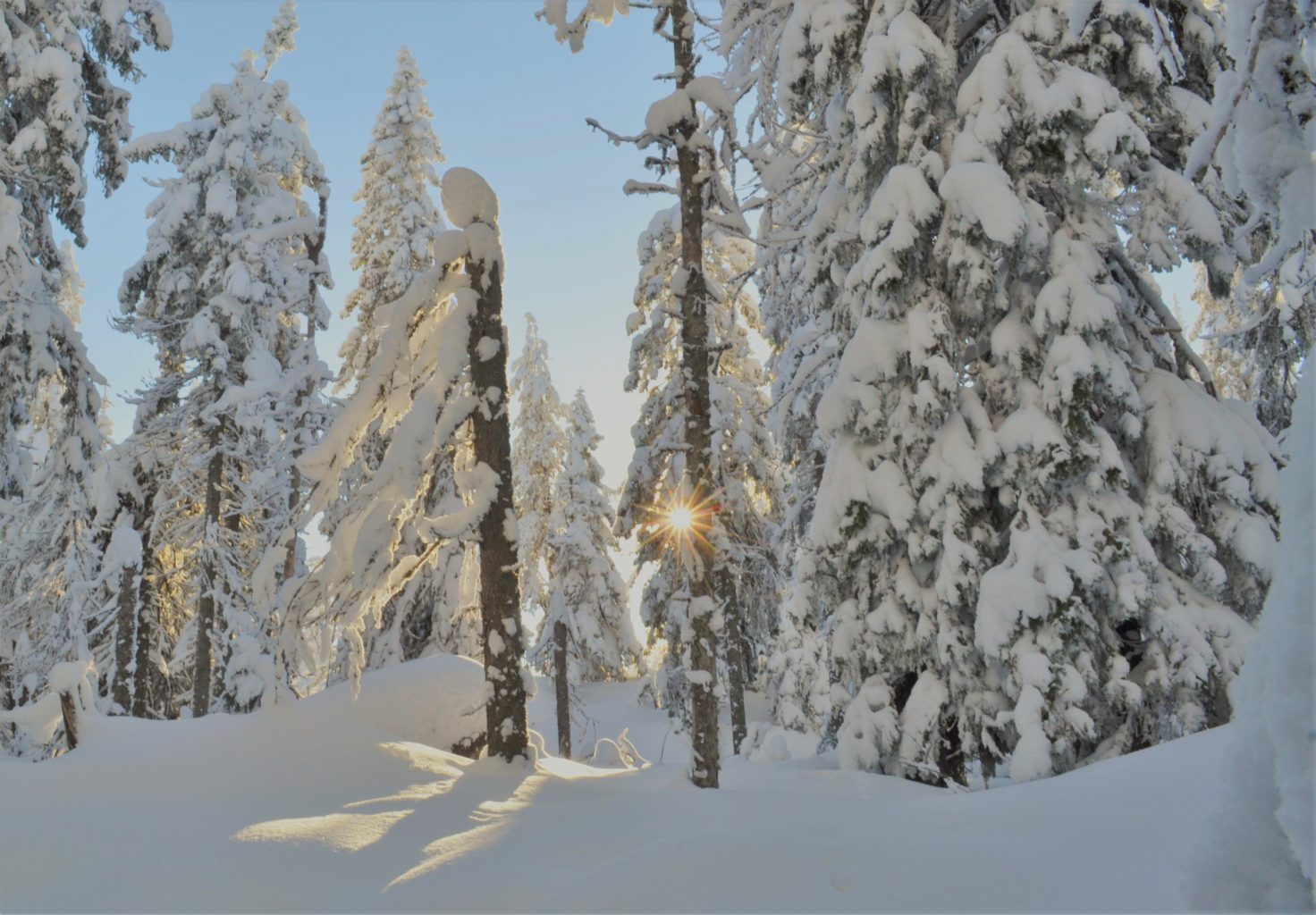 Valokuvaaja: Leena Rissanen