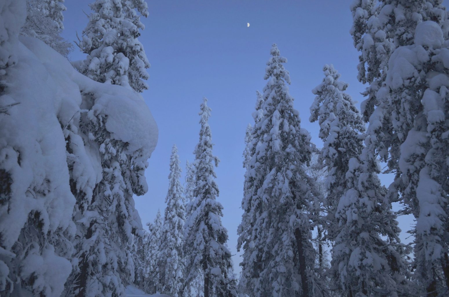 Valokuvaaja: Leena Rissanen Valokuvaaja: Leena Rissanen