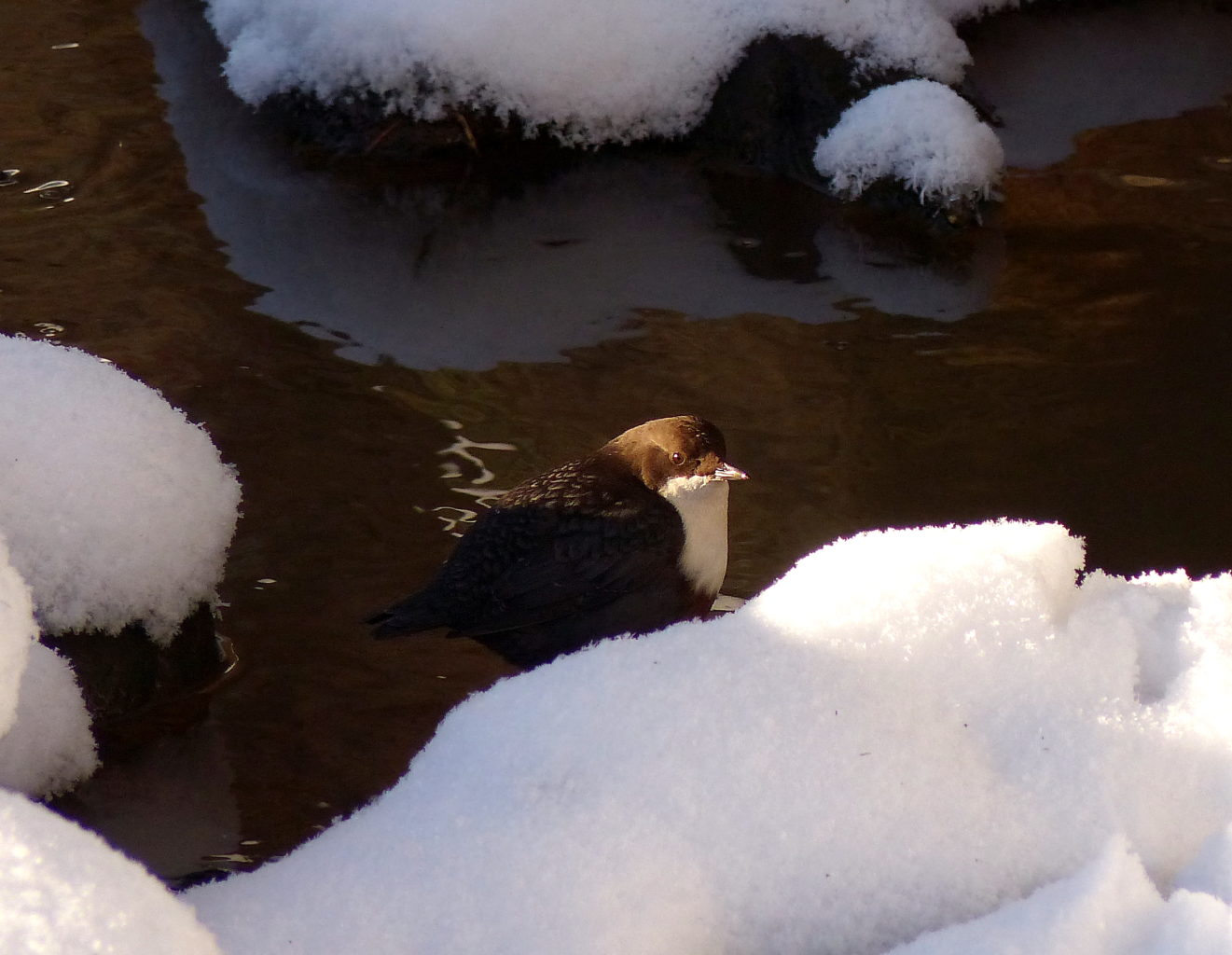 Valokuvaaja: Sylvain Eckhardt