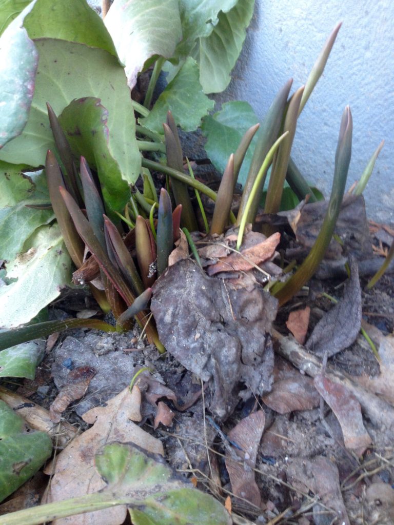 Valokuvaaja: Jenni Merilä