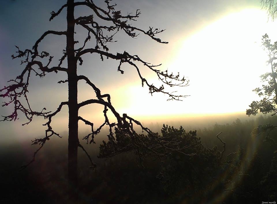 Valokuvaaja: Jenni Merilä