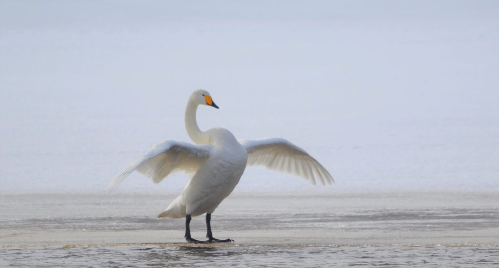 Valokuvaaja: Leena Rissanen