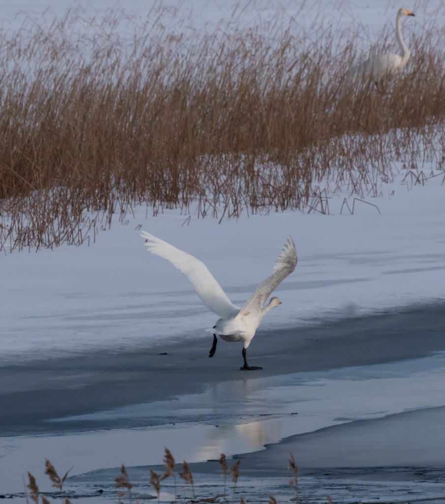 Valokuvaaja: Merja Ollikainen