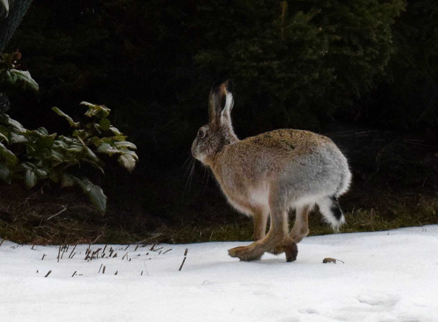 Valokuvaaja: Arja Hokkanen