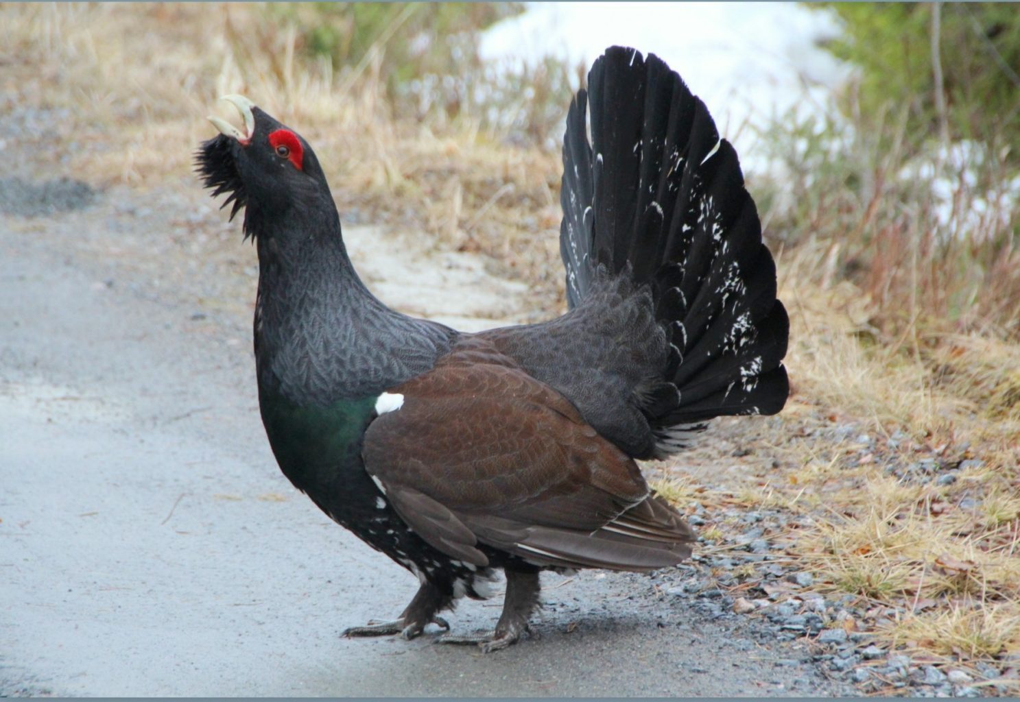Valokuvaaja: Sirpa Jyske