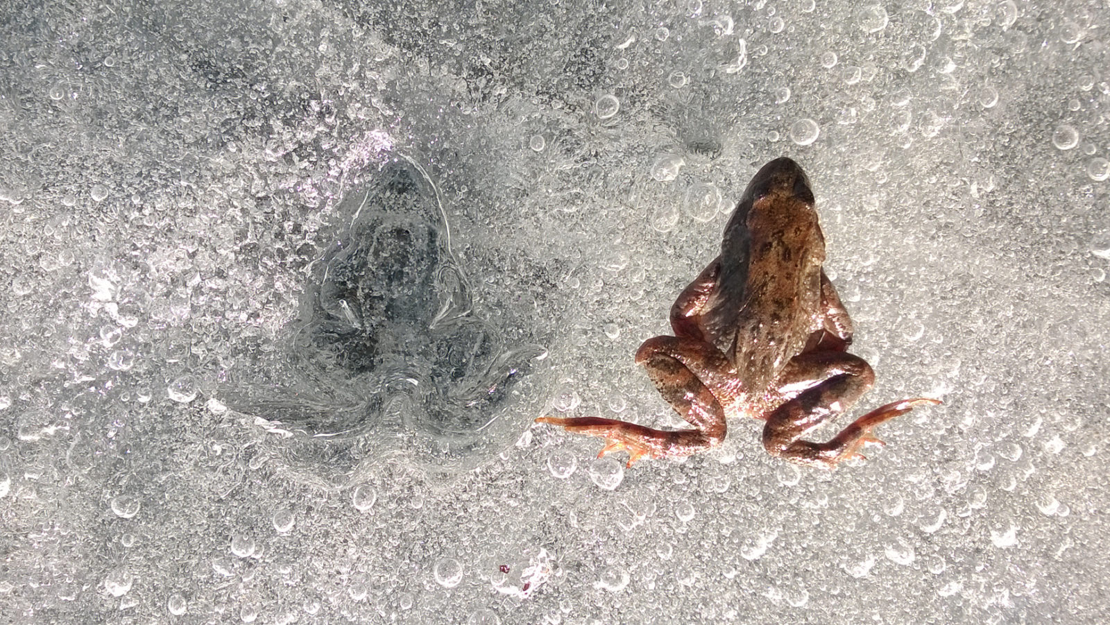 Valokuvaaja: Tuija Lahti