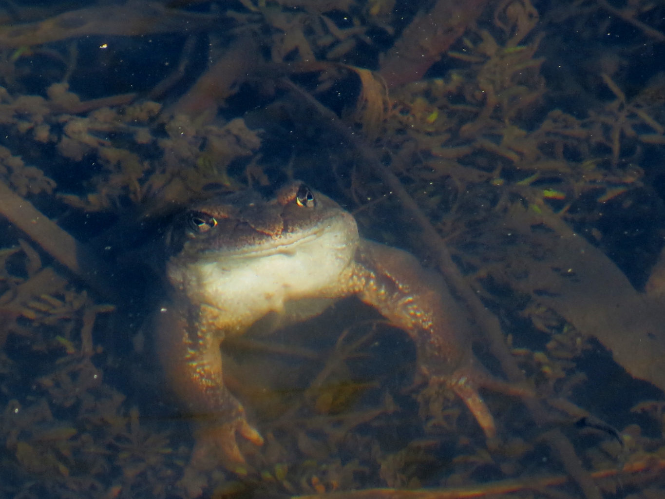Valokuvaaja: Päivi Torkki