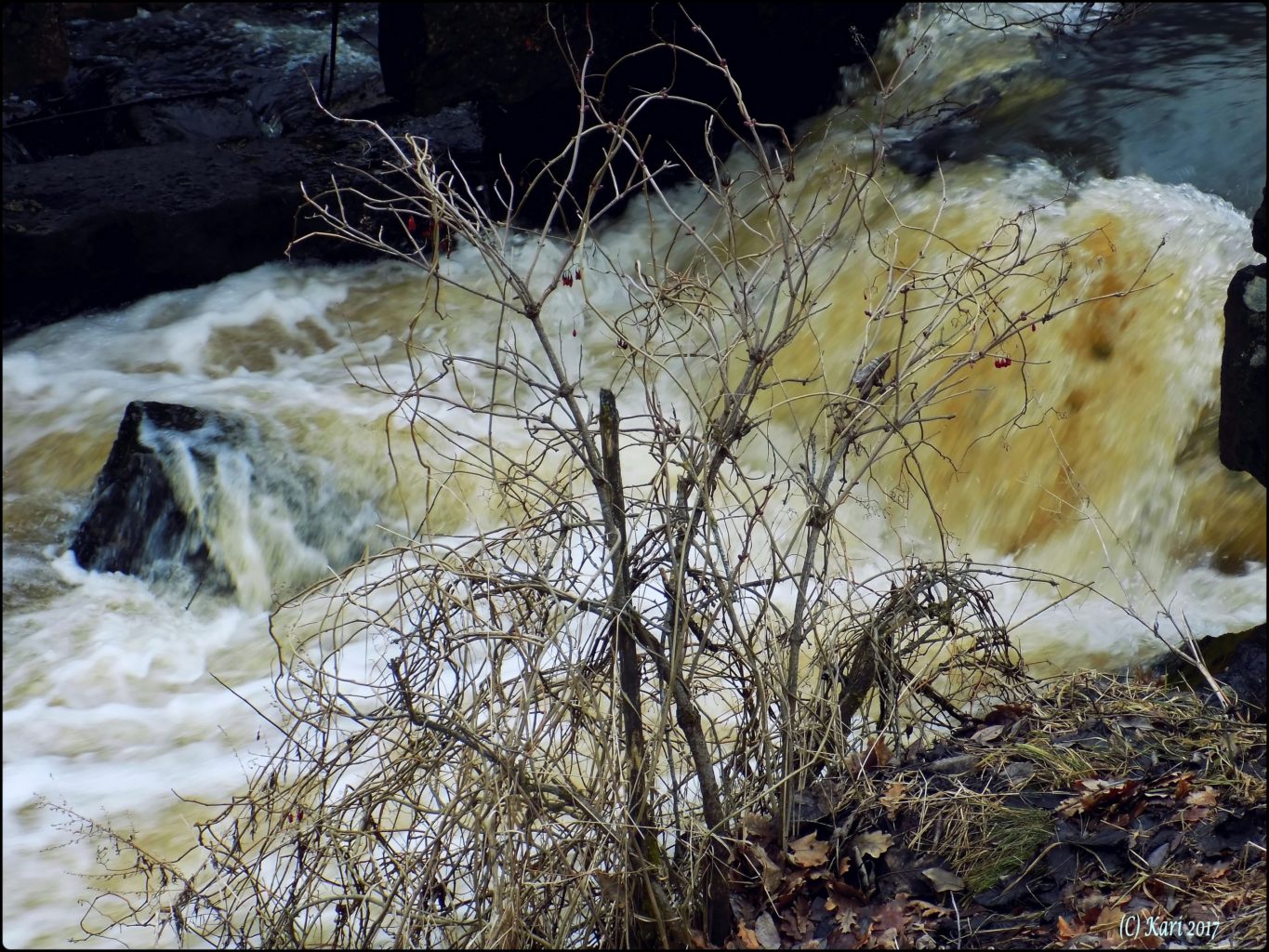 Valokuvaaja: Kari Saarinen