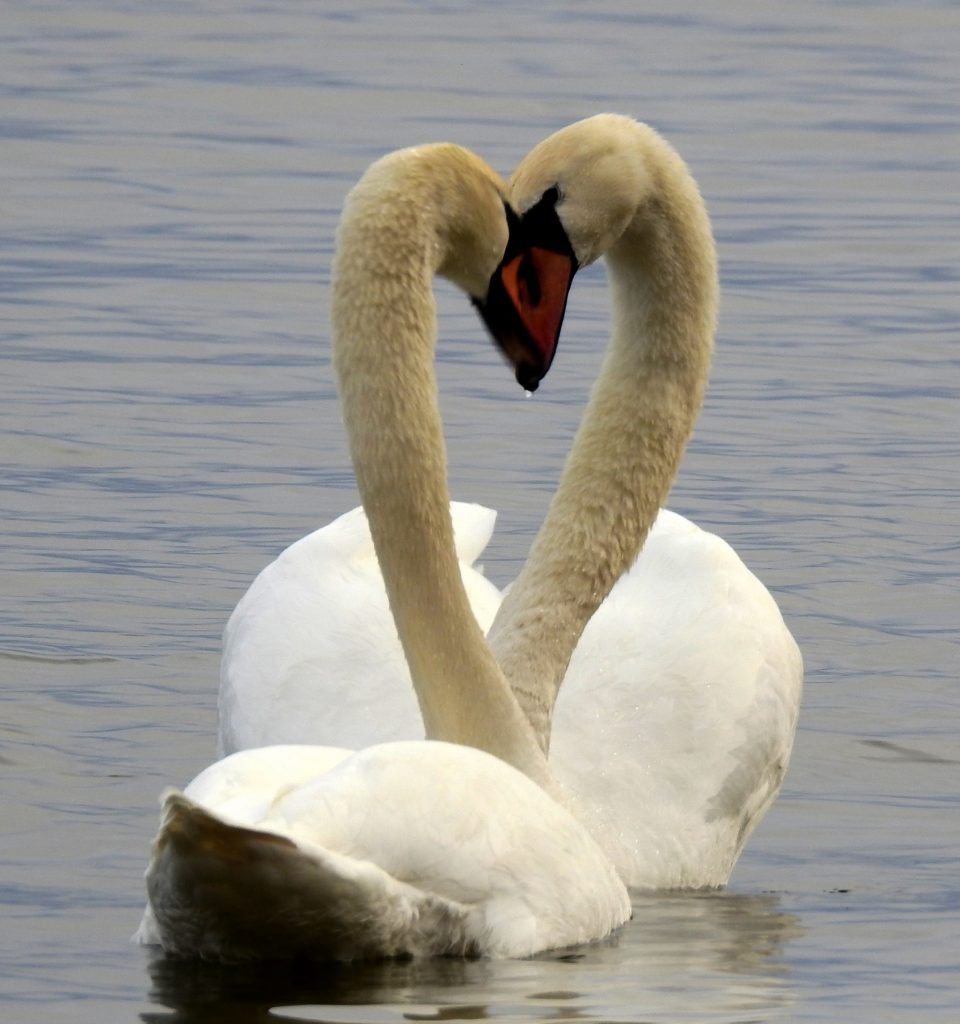 Valokuvaaja: Kari Pirttilä