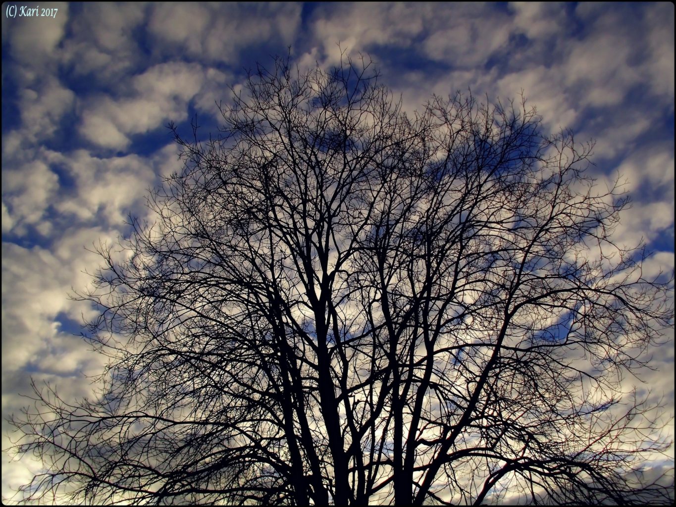 Valokuvaaja: Kari Saarinen