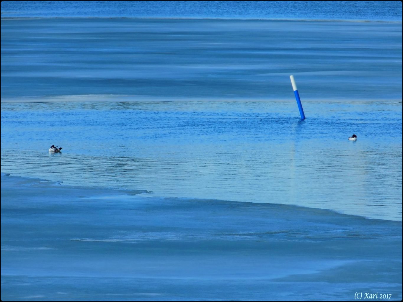 Valokuvaaja: Kari Saarinen Valokuvaaja: Kari Saarinen