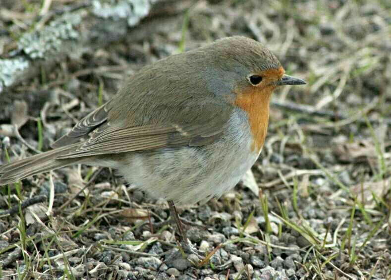 Valokuvaaja: Miia Pesu