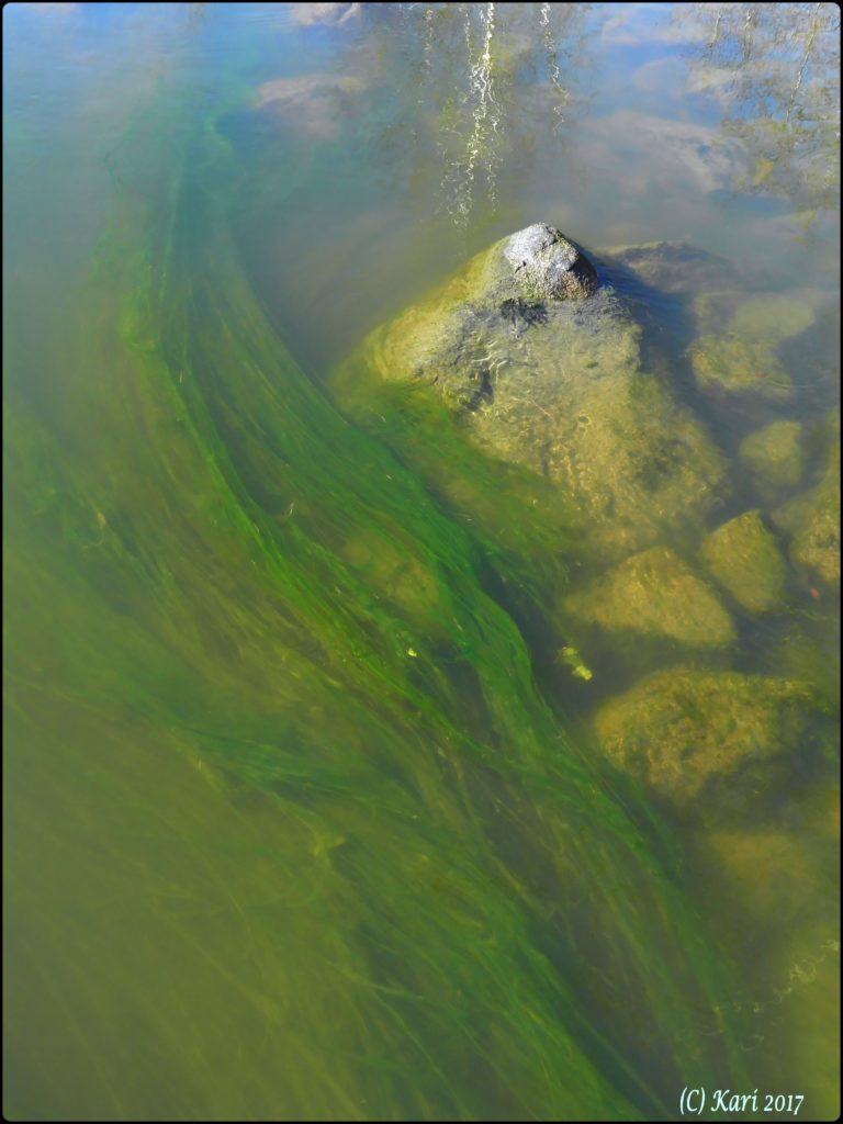 Valokuvaaja: Kari Saarinen