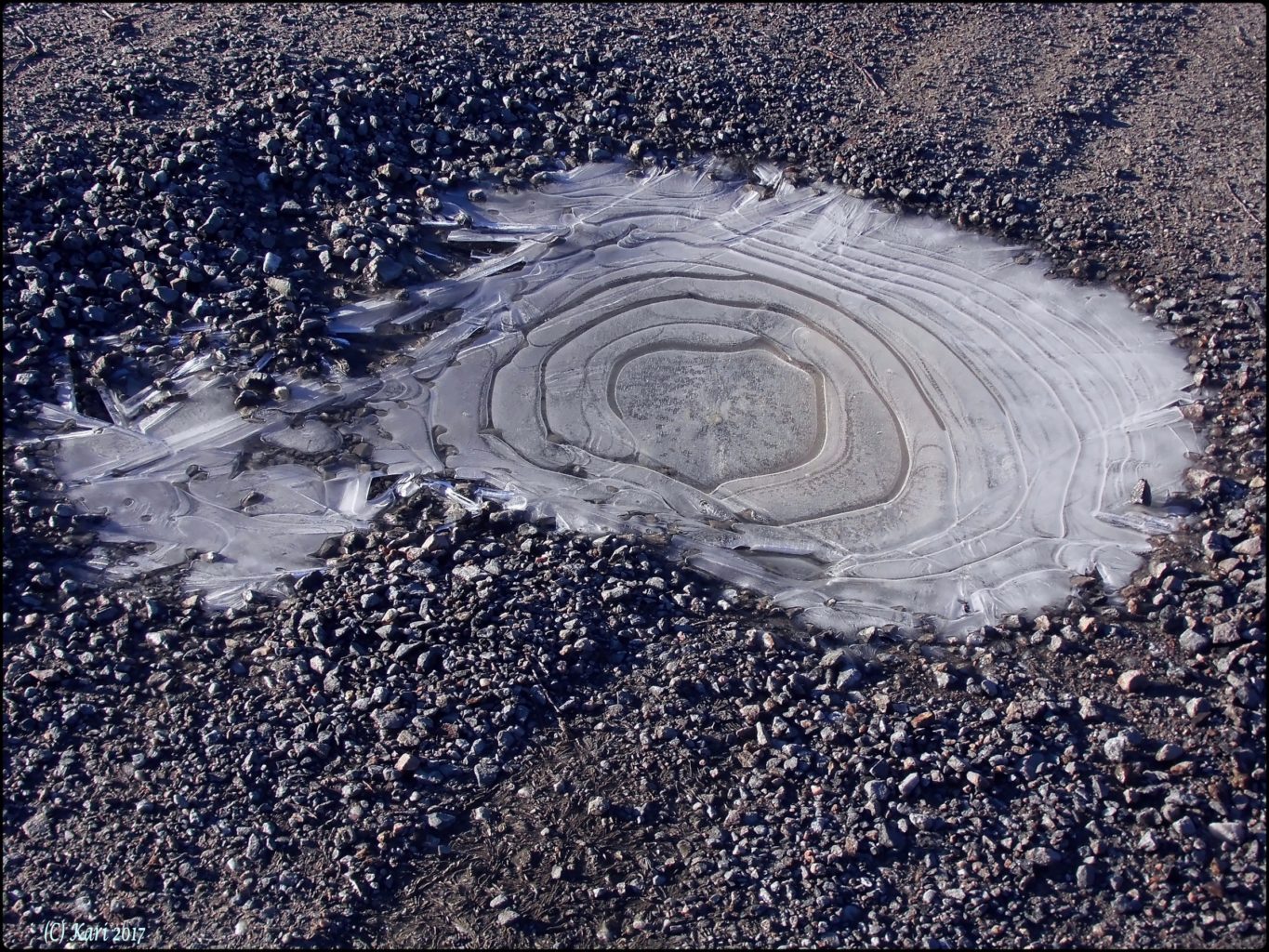Valokuvaaja: Kari Saarinen