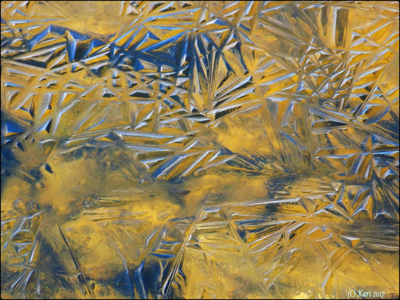 Valokuvaaja: Kari Saarinen