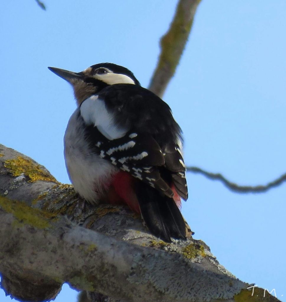 Valokuvaaja: Tuula Makkonen