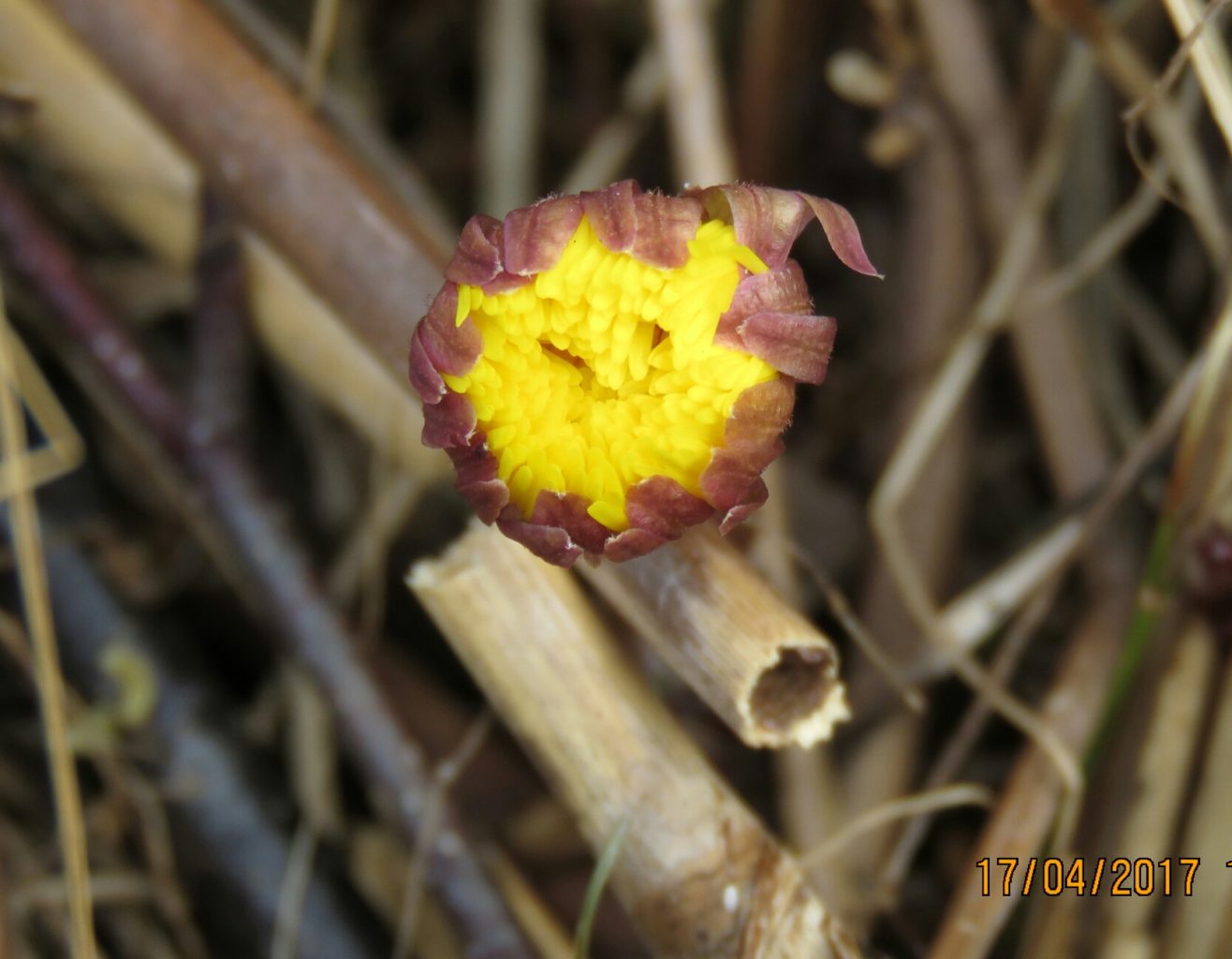 Valokuvaaja: Tuula Makkonen