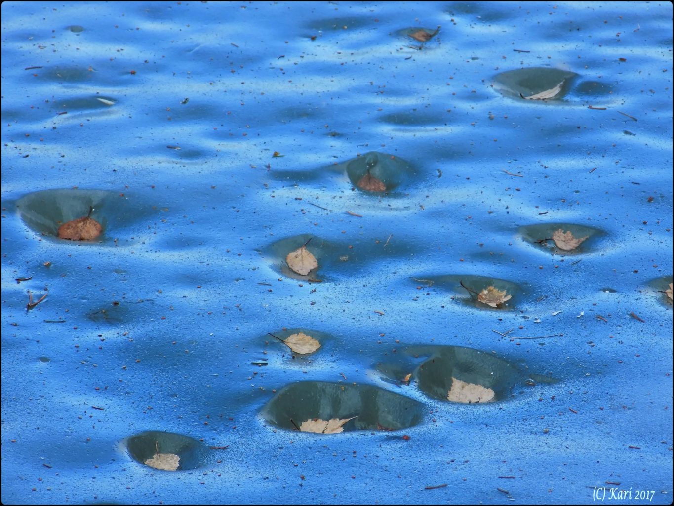 Valokuvaaja: Kari Saarinen