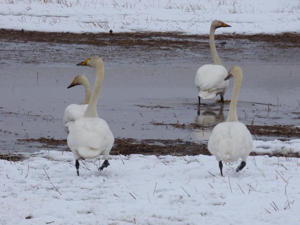 Valokuvaaja: Hannu Rissanen