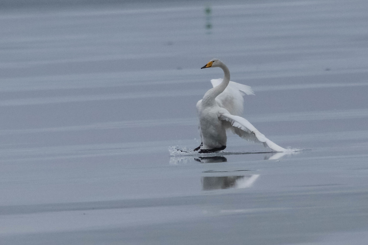 Valokuvaaja: Markku Salonen