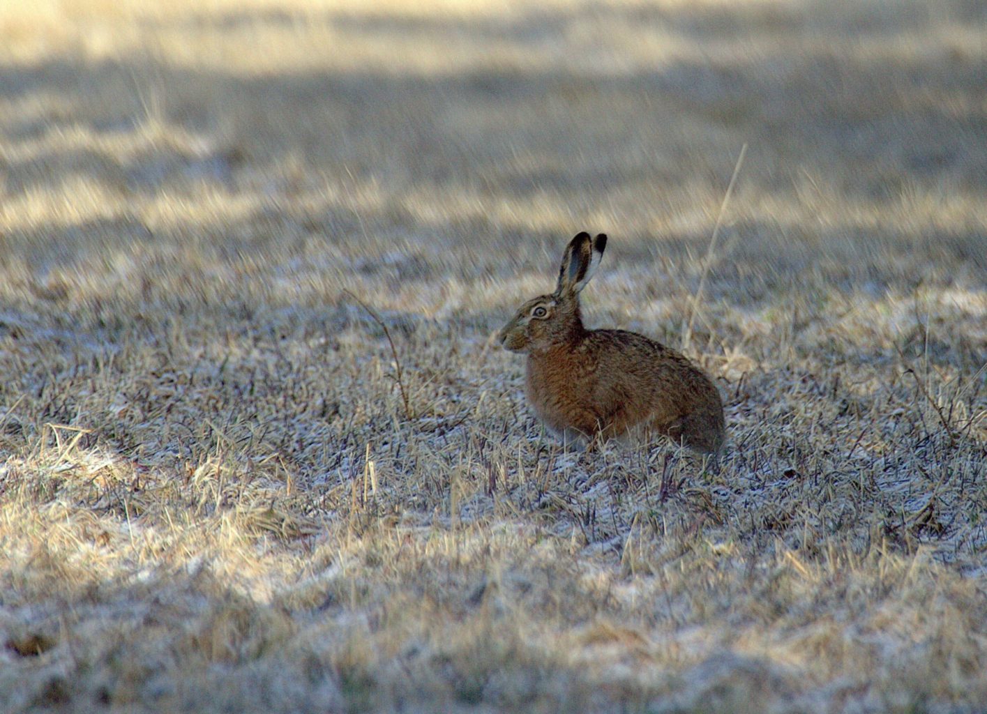 Valokuvaaja: Sirpa Jyske