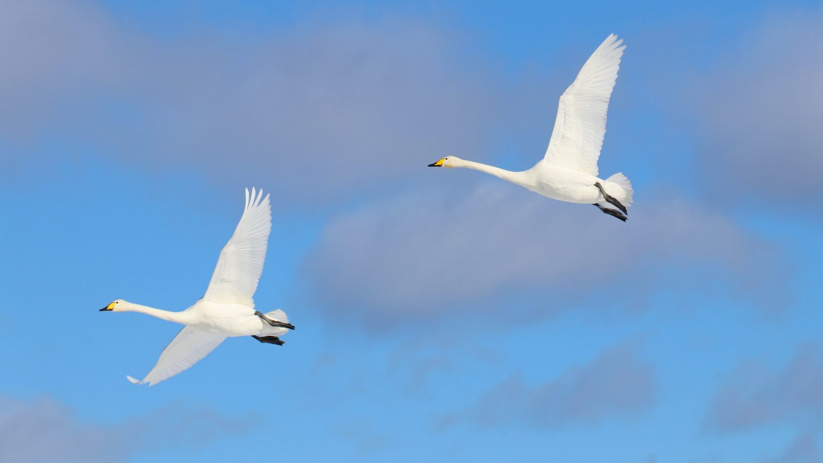 Valokuvaaja: Sinikka Kujala