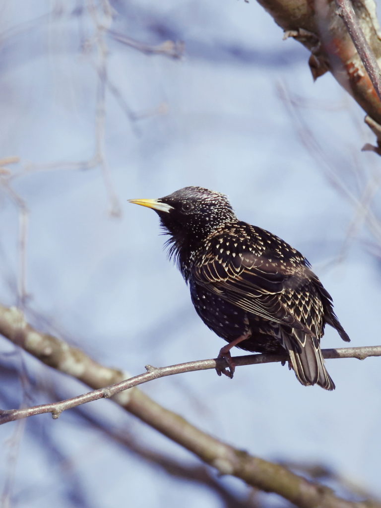 Valokuvaaja: Anne Moilanen Valokuvaaja: Anne Moilanen