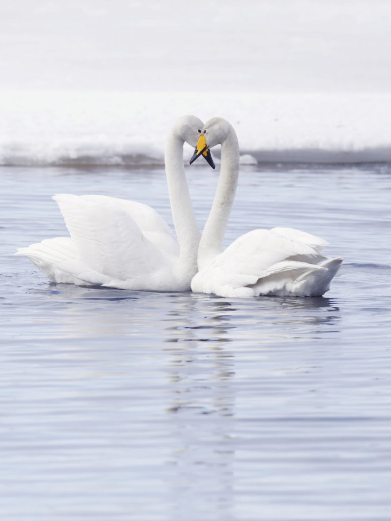 Valokuvaaja: Anne Moilanen Valokuvaaja: Anne Moilanen