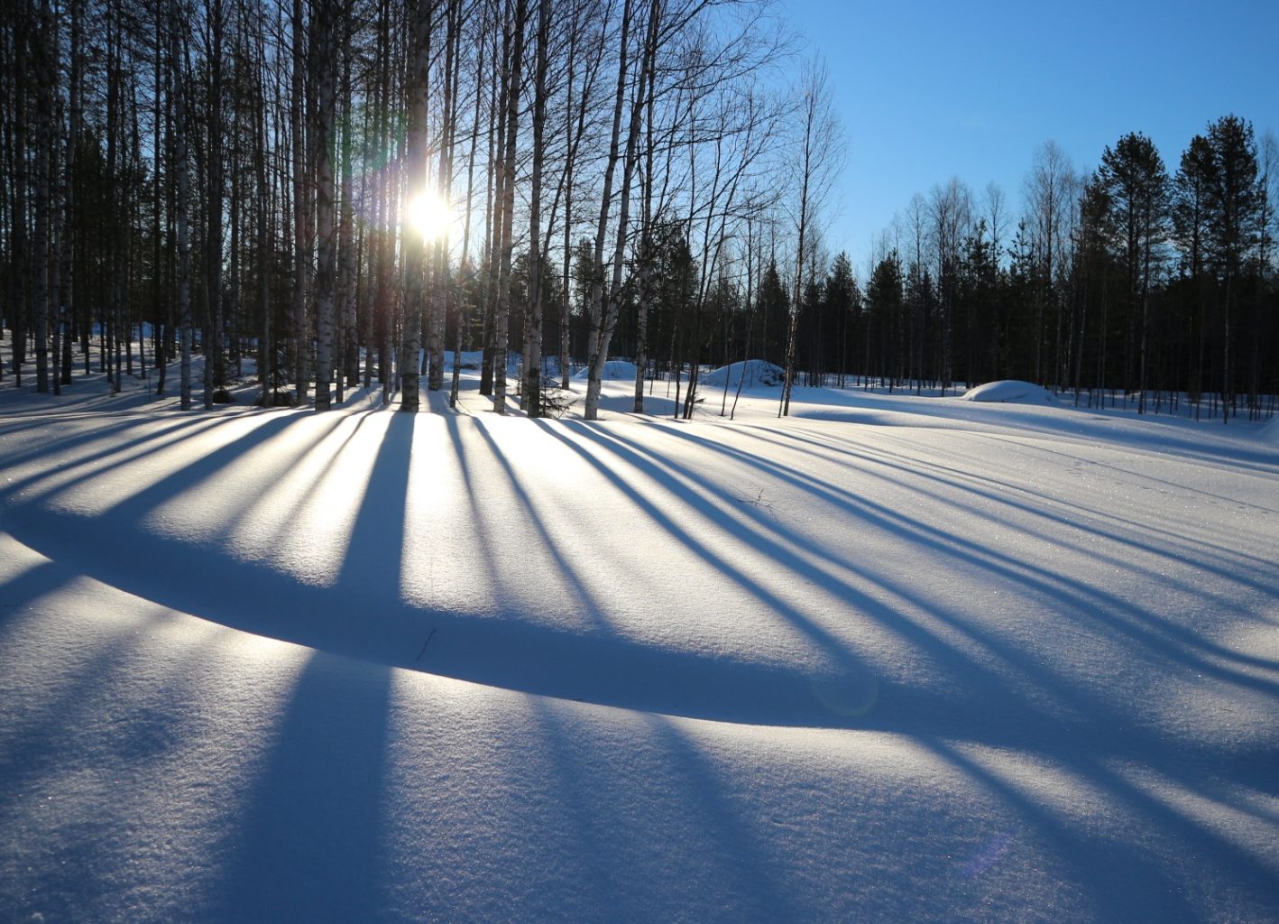 Valokuvaaja: Elsa Oja Valokuvaaja: Elsa Oja