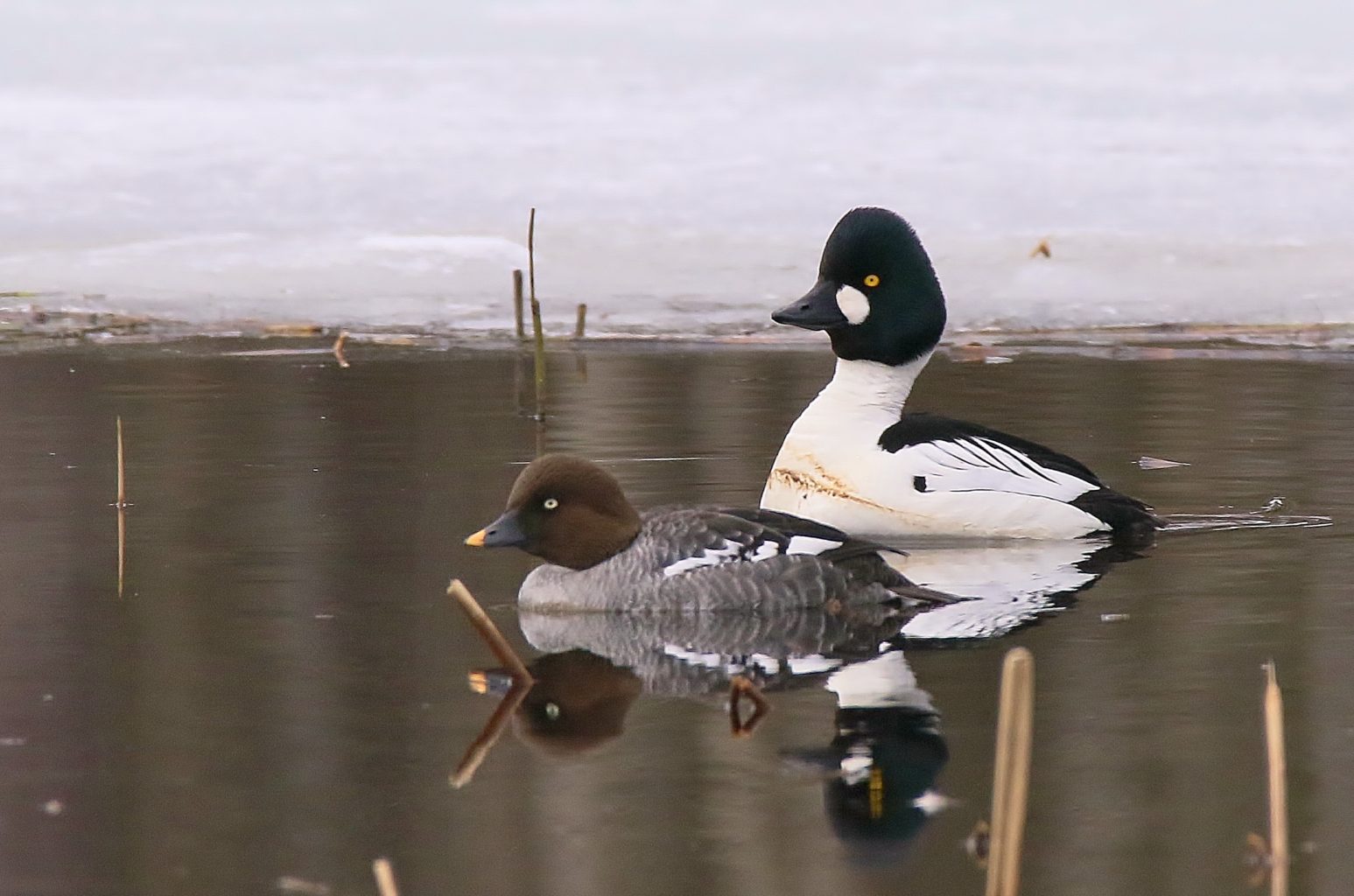 Valokuvaaja: Tuula Pirnes