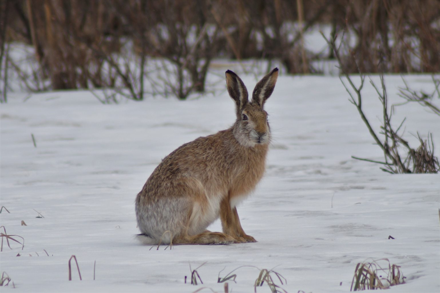 Valokuvaaja: Maarit Siitonen