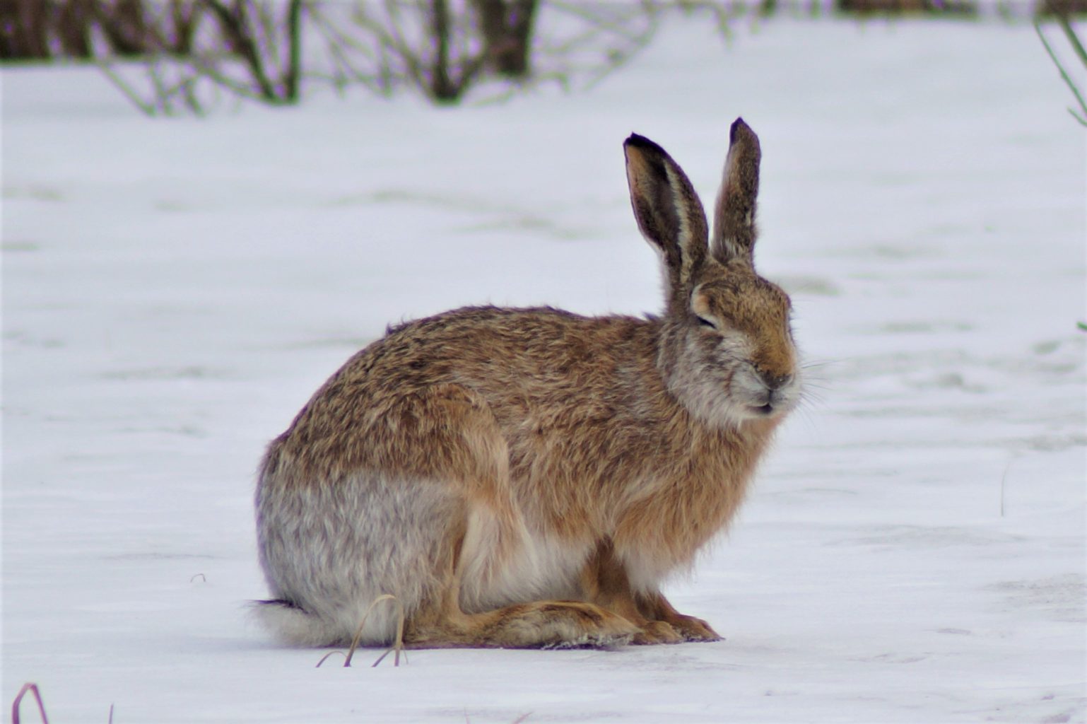 Valokuvaaja: Maarit Siitonen