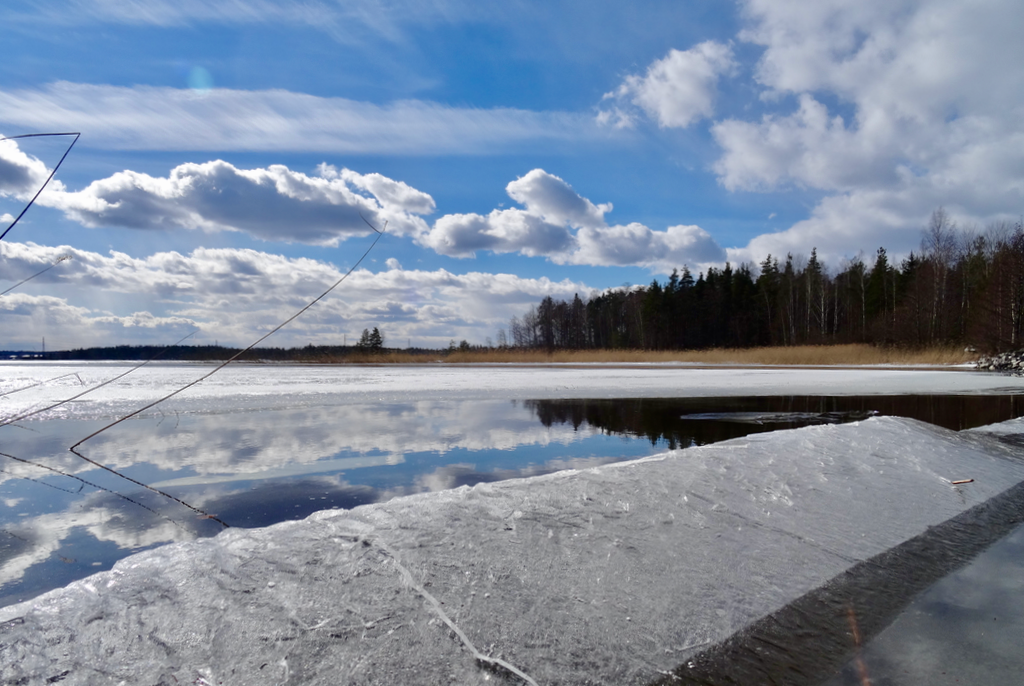Valokuvaaja: Liisa Niiva-Korpela