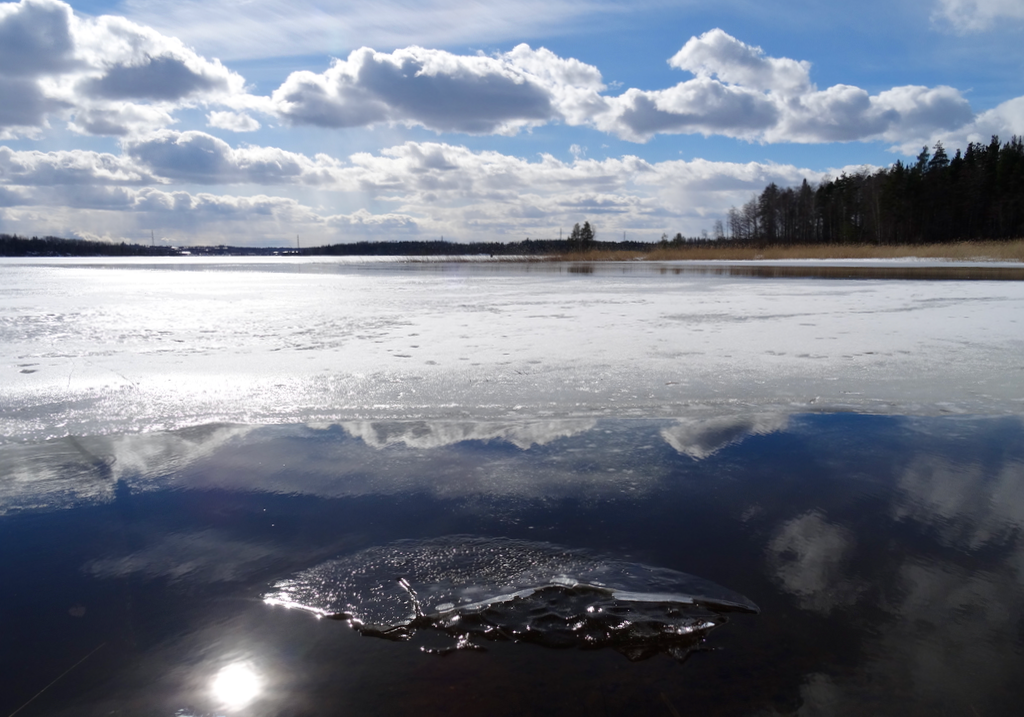 Valokuvaaja: Liisa Niiva-Korpela