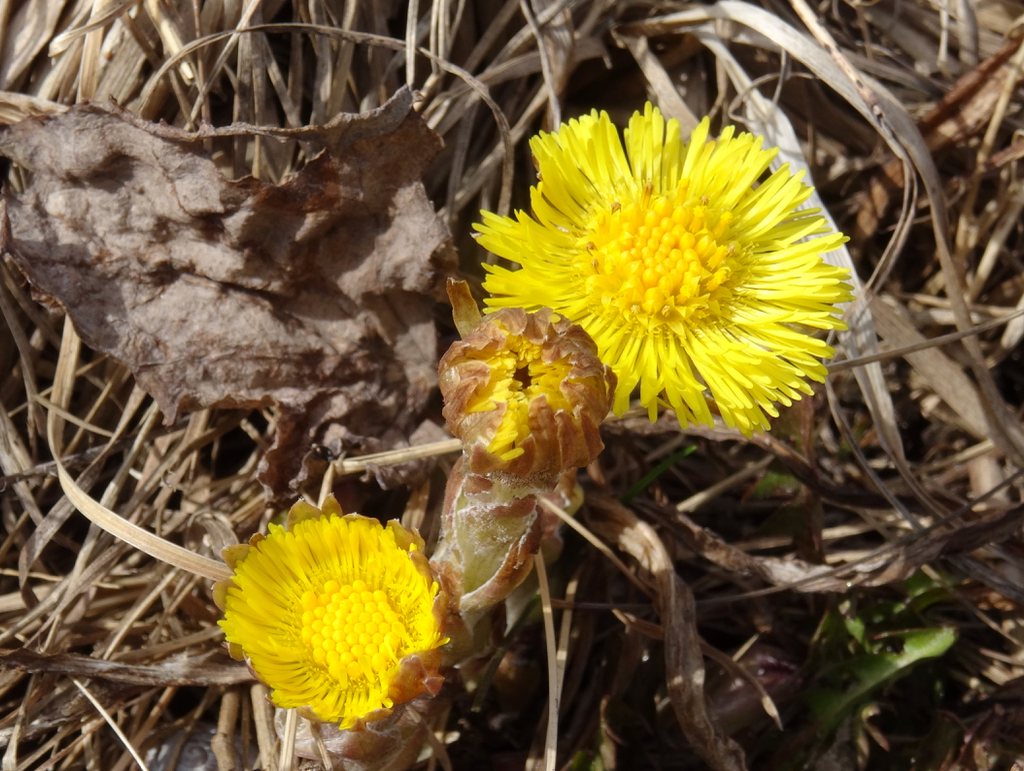 Valokuvaaja: Liisa Niiva-Korpela