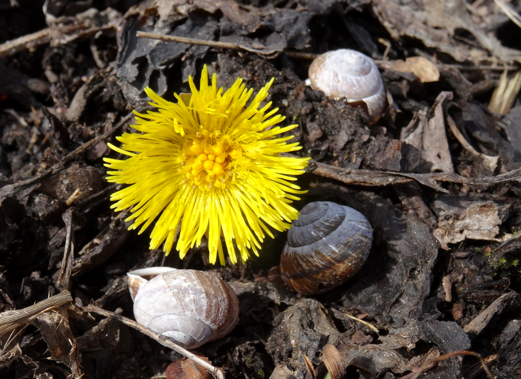 Valokuvaaja: Liisa Niiva-Korpela