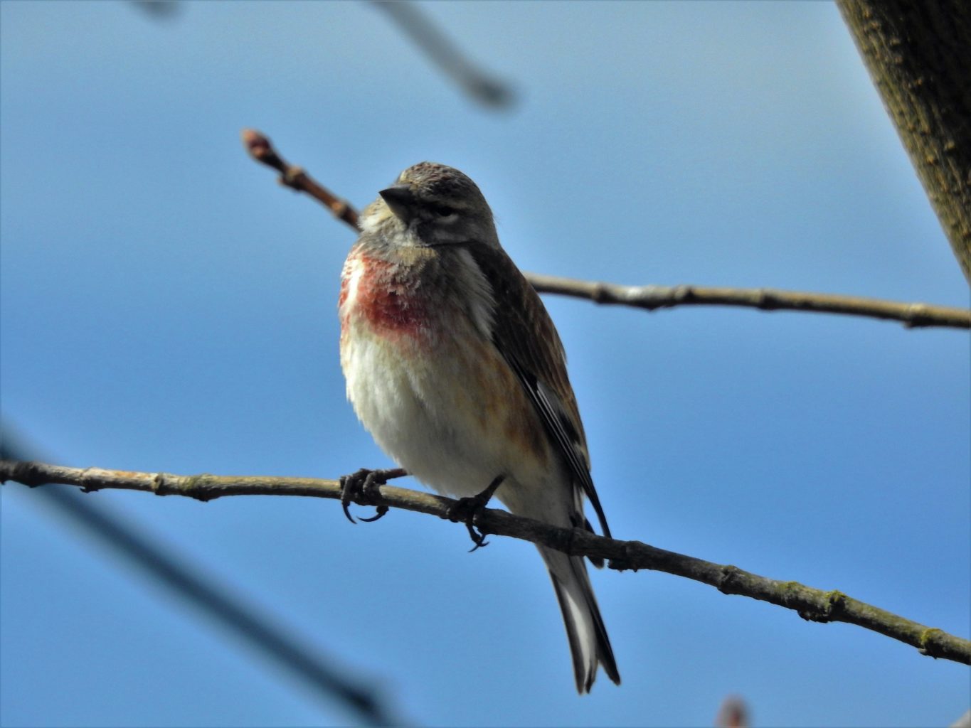 Valokuvaaja: Kari Pirttilä