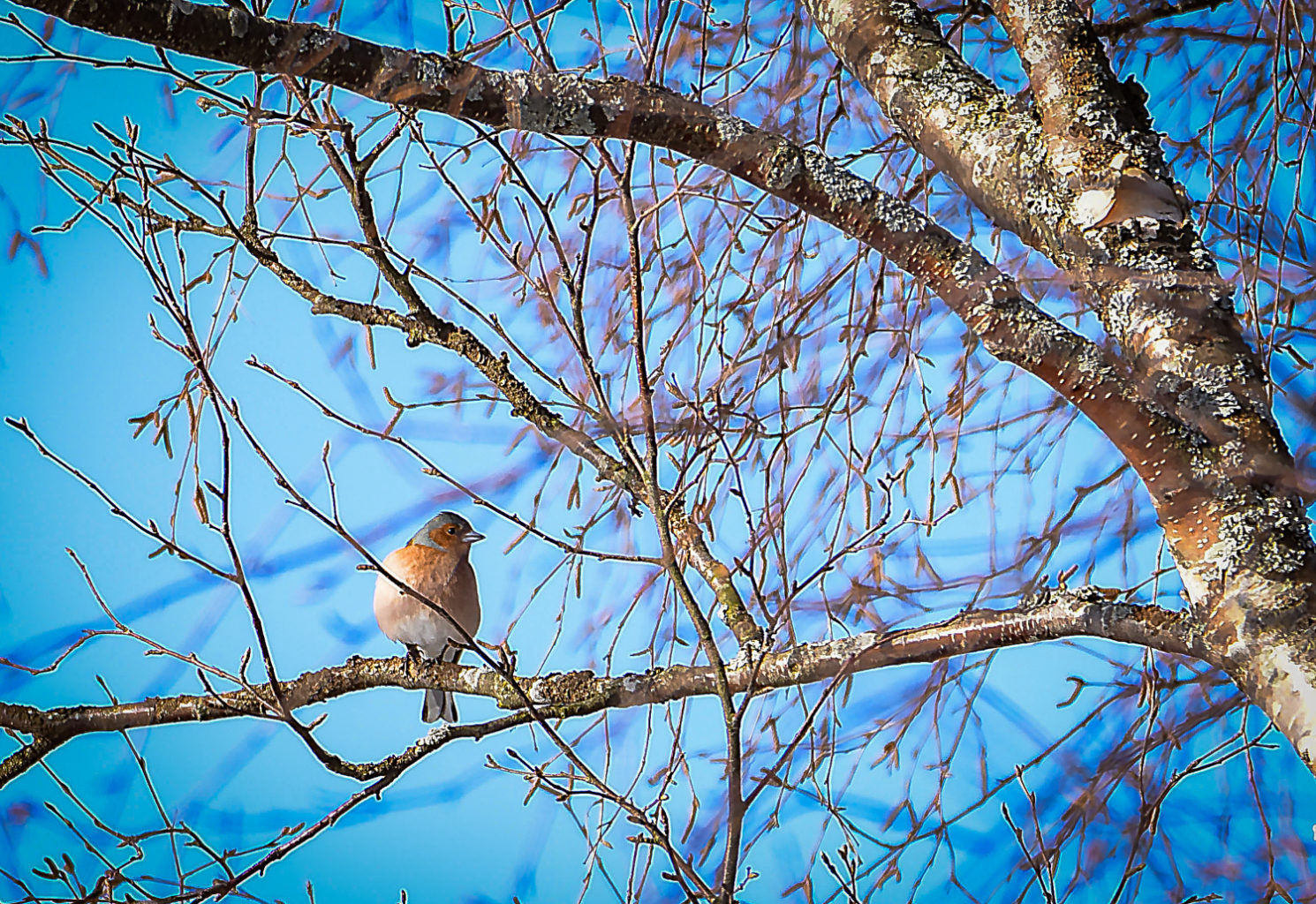 Valokuvaaja: MAIJA SAVOLAINEN