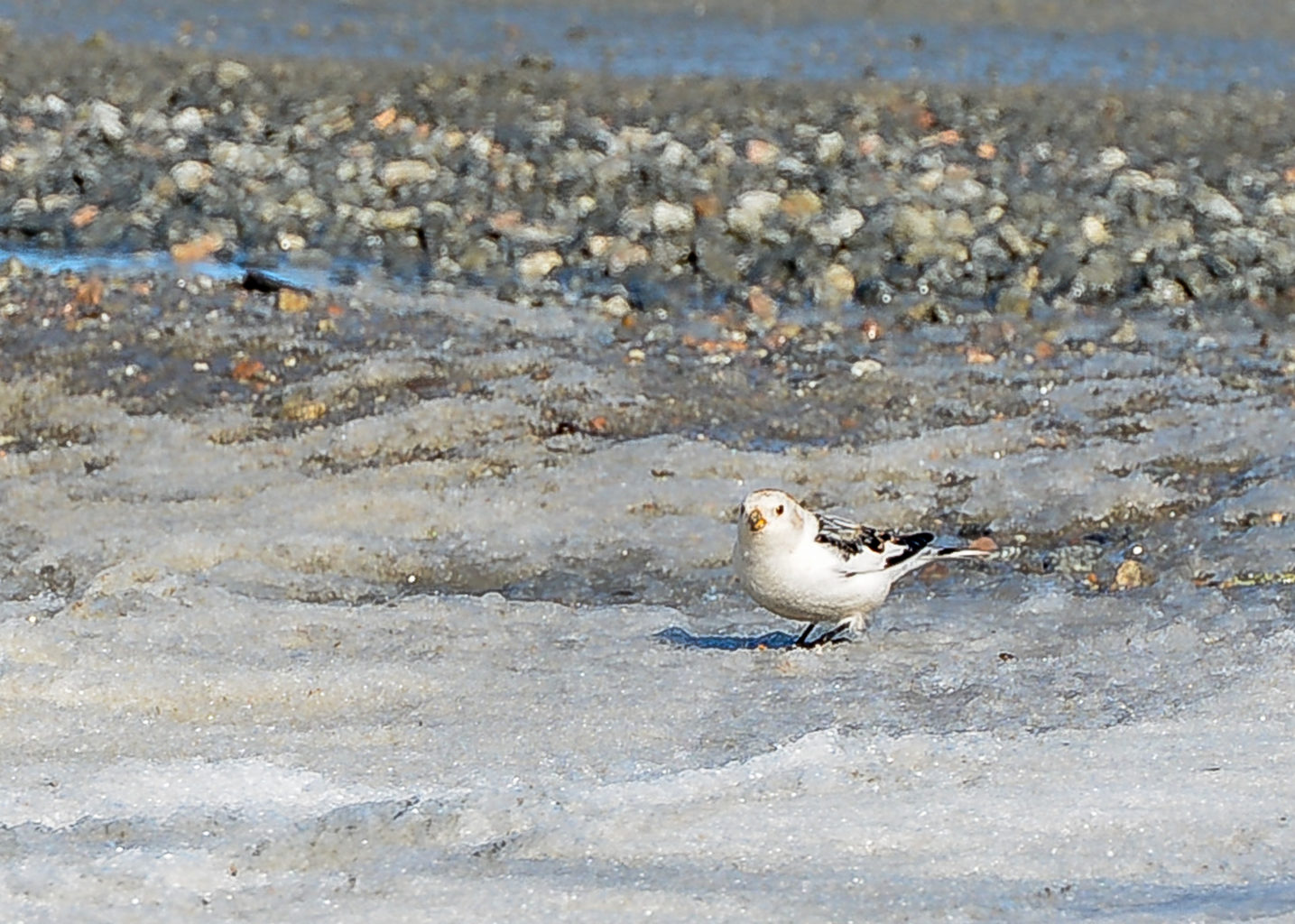 Valokuvaaja: MAIJA SAVOLAINEN