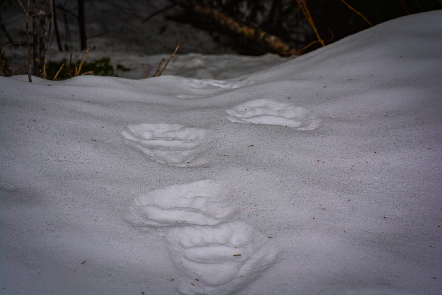 Valokuvaaja: MAIJA SAVOLAINEN