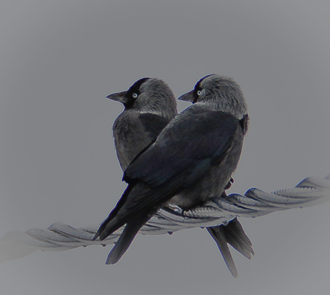 Valokuvaaja: MAIJA SAVOLAINEN