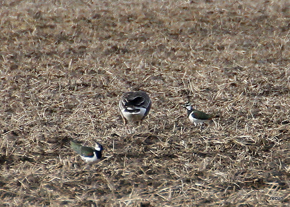 Valokuvaaja: reijo lehtonen
