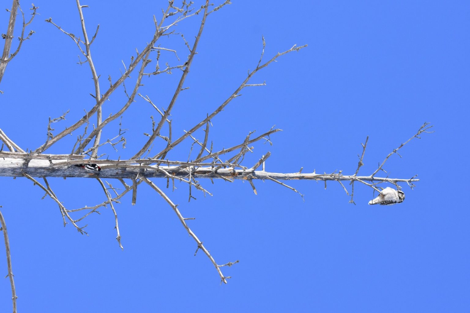 Valokuvaaja: Markku Hämäläinen