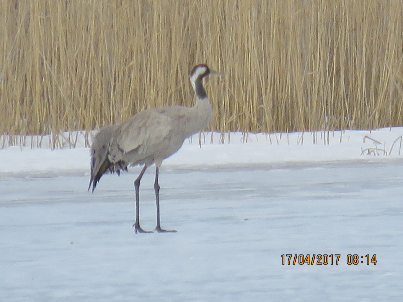 Valokuvaaja: Tuula Makkonen