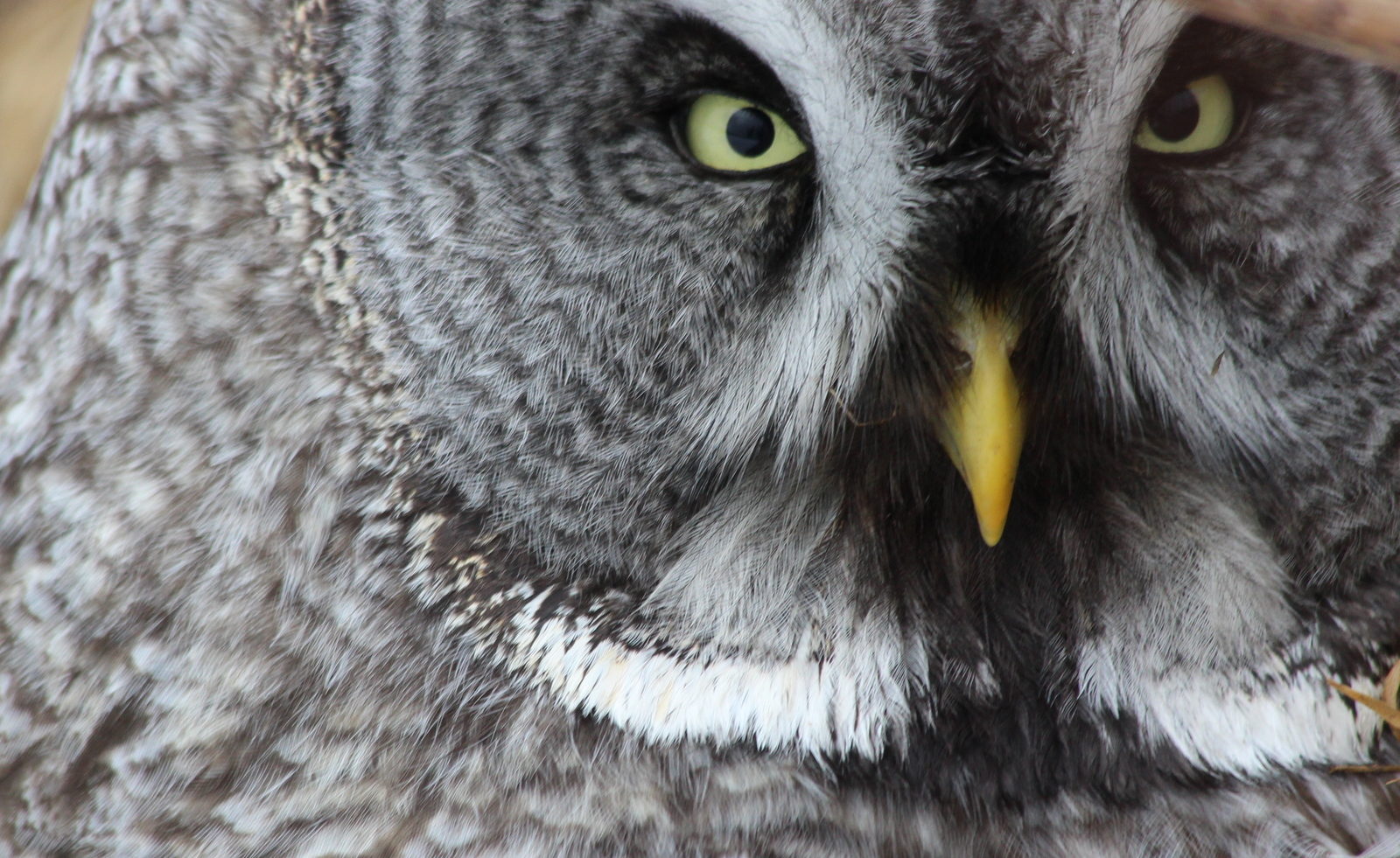 Valokuvaaja: Raija Kokkola
